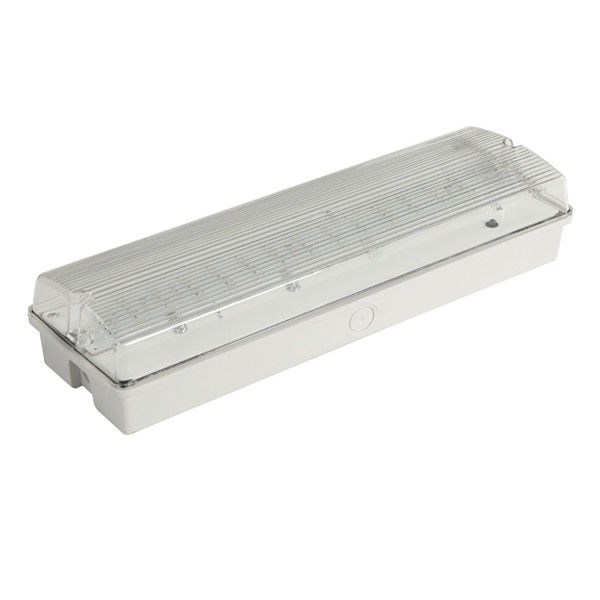 カスタムウォールサーフェスマウント防水緊急ライト アウトドア IP65 SMD ウェットロケーション EL060AN