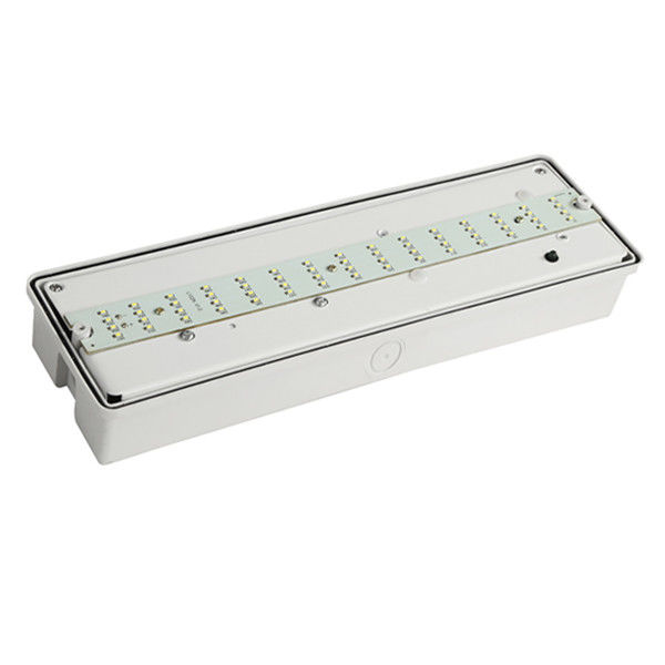 カスタム 壁面 防水 非常用 ライト IP65 SMD 湿地 屋外 EL060AN