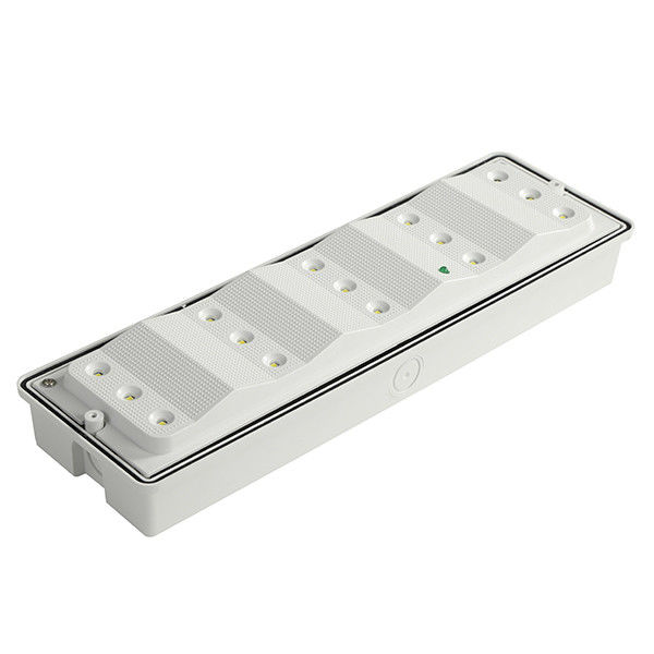 110V 220V SMD 2835 ホワイト LED 表面 防天 緊急 ライト PC ディフューザー IP65 EL015EM
