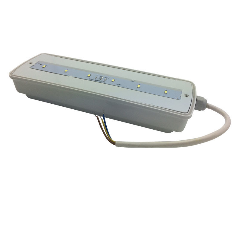 bulkhead 防水非常灯 充電式 IP65 プラスチック Ni-Cd バッテリーバックアップ 3 時間 L116N-E