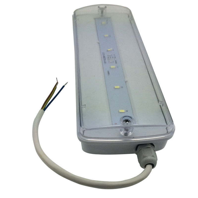 bulkhead 防水非常灯 充電式 IP65 プラスチック Ni-Cd バッテリーバックアップ 3 時間 L116N-E