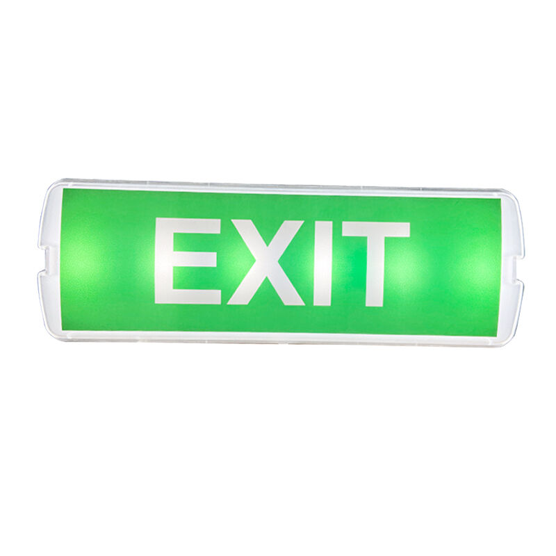 3時間バックアップ付き220V表面実装型LED充電式非常灯、プラスチック製