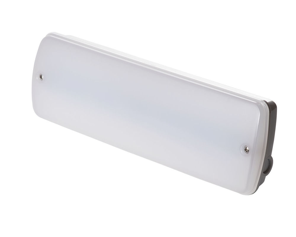 産業用防水緊急ライト 220V 湿った場所 バッテリーバックアップ付き LED L121N