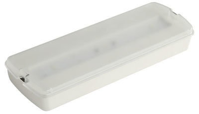 220V 再充電可能 LED 非常用ライト バッテリーバックアップ CE 承認 壁面に搭載 L116N-A1